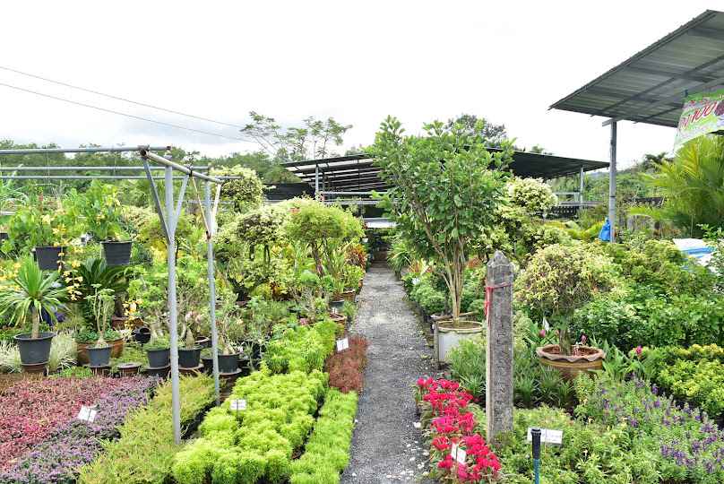 สวนน้องเอ็มเชิงทะเล Phuket Garden - 4