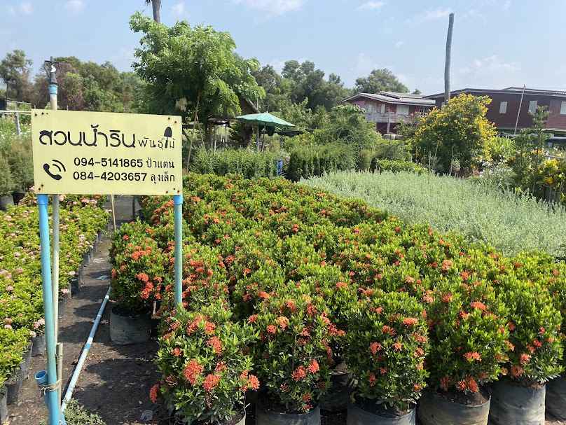 สวนน้ำรินพันธุ์ไม้ คลอง 15