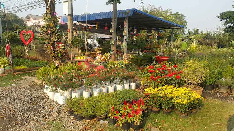 สวนบัวบาน
