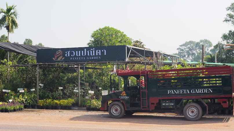 สวนปณีตา – ขายส่งต้นไม้