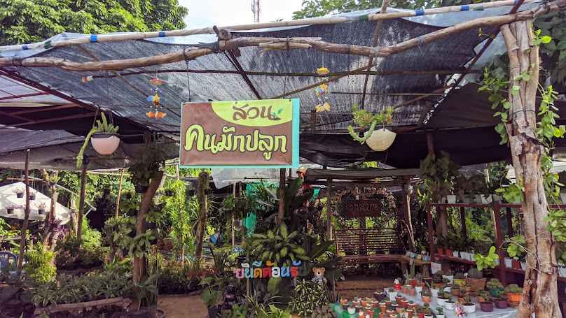 สวนปนัดดาพันธุ์ไม้ - 4
