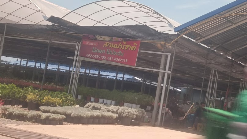 สวนปาริชาติ