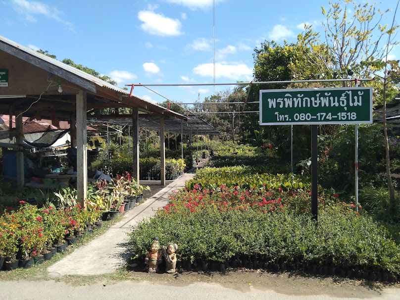 สวนป้าแดงพันธุ์ไม้