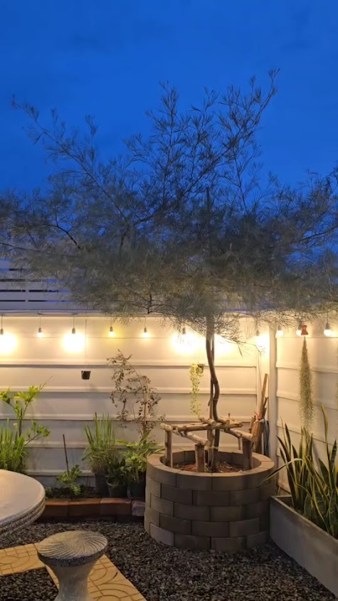 สวนภูมินทร์ ร้านต้นไม้ - 3