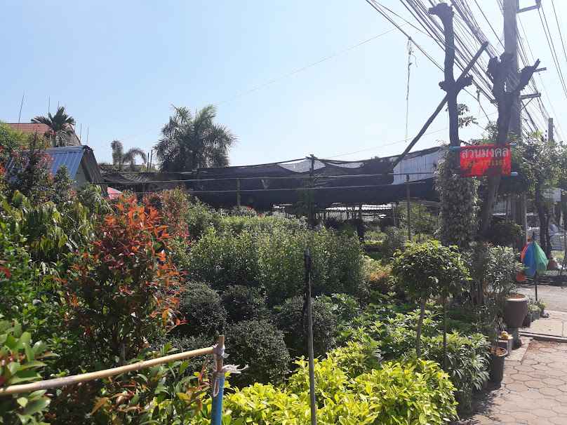 Lamchiak Garden