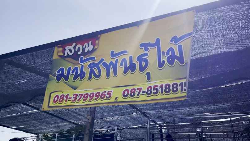 สวนมนัสพันธุ์ไม้ สุโขทัย - 2