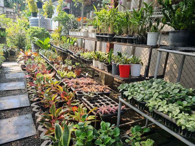 สวนมุทิตา Mutita Garden - 3