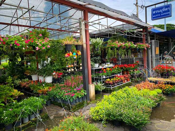 สวนมุทิตา Mutita Garden - 4