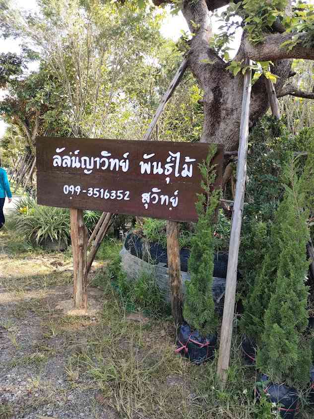 สวนลัลน์ญาวิทย์พันธุ์ไม้