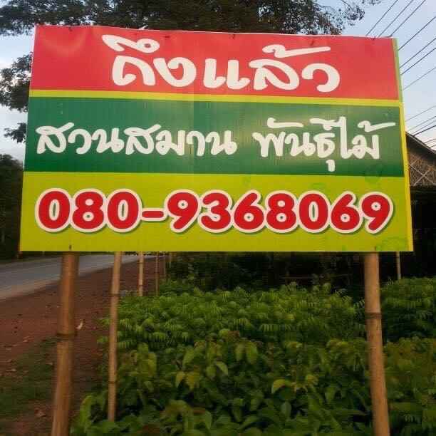 สวนสมานพันธุ์ไม้ - 1