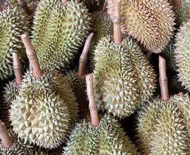 สวนสินทรัพย์ แม่ขรี (Ss) - 4
