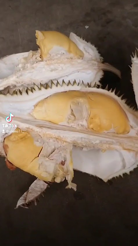 สวนอักษร พันธุ์ไม้ จันทบุรี - 3