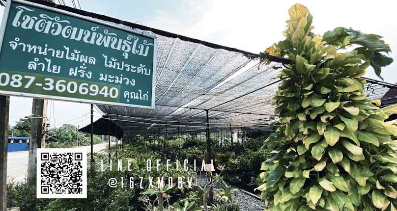 สวนเจริญพรพันธุ์ไม้ - 3
