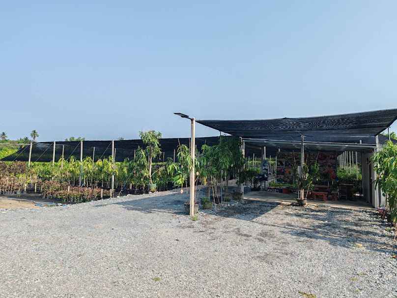 สวนเศกสันต์พันธุ์ไม้ SEAKSAN PANMAI - 3