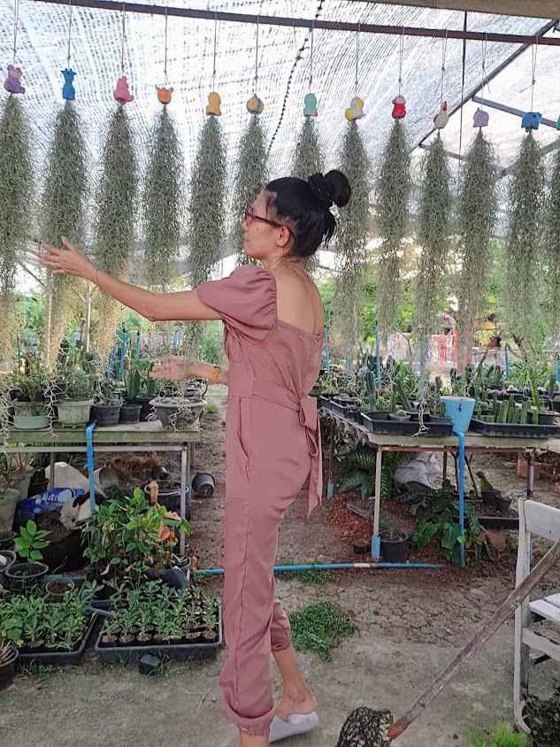 สวนแคคตัสสุพรรณแม่เรณู - 3