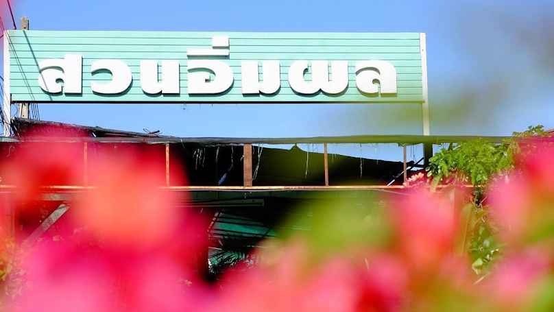 สวนใบเฟิร์น - 2