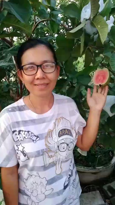 สวนไผ่นายเอก - 2
