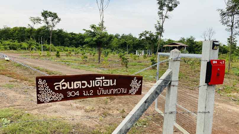 สวนไผ่บงหวานหนองคาย - 4