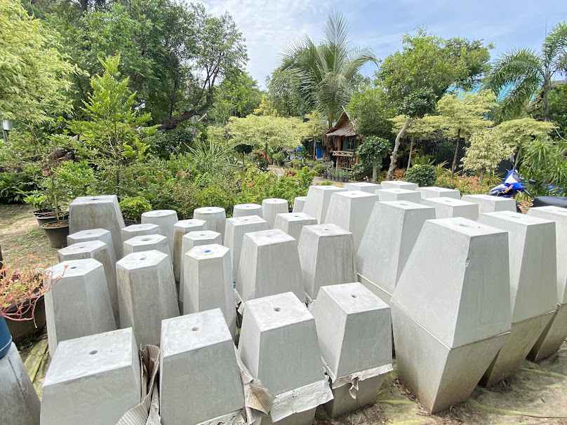 สวนไม้งาม101 - 2