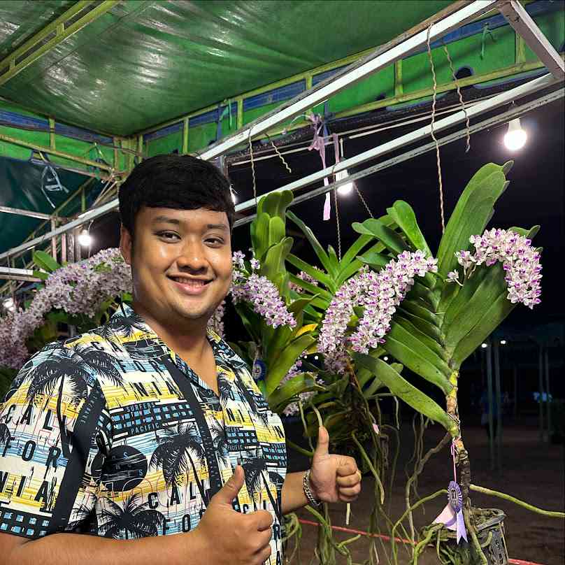 สวนไม้ด่างอารมณ์ดี