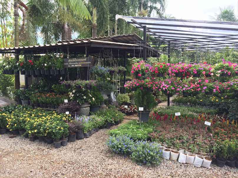 Garden Centre - 3