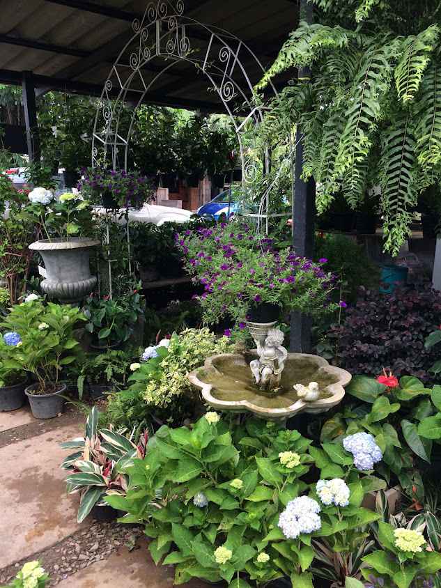 Garden Centre - 4