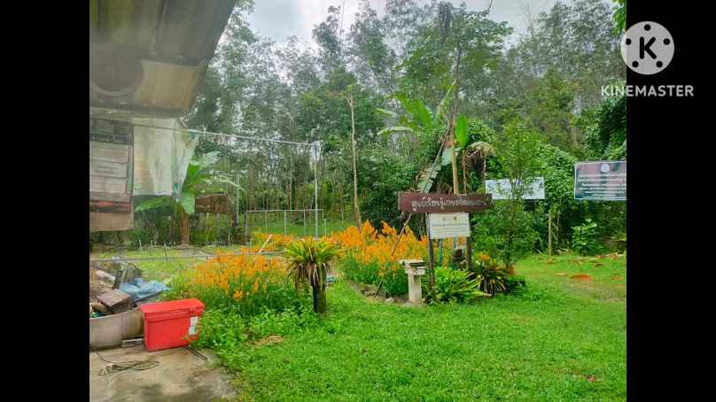สวน NURIS FARM LAMMAI - 4