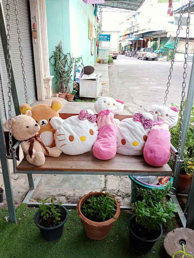 สุภัสสรซักรีด