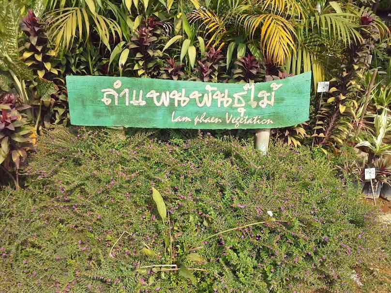 สุรินทร์พันธุ์ไม้