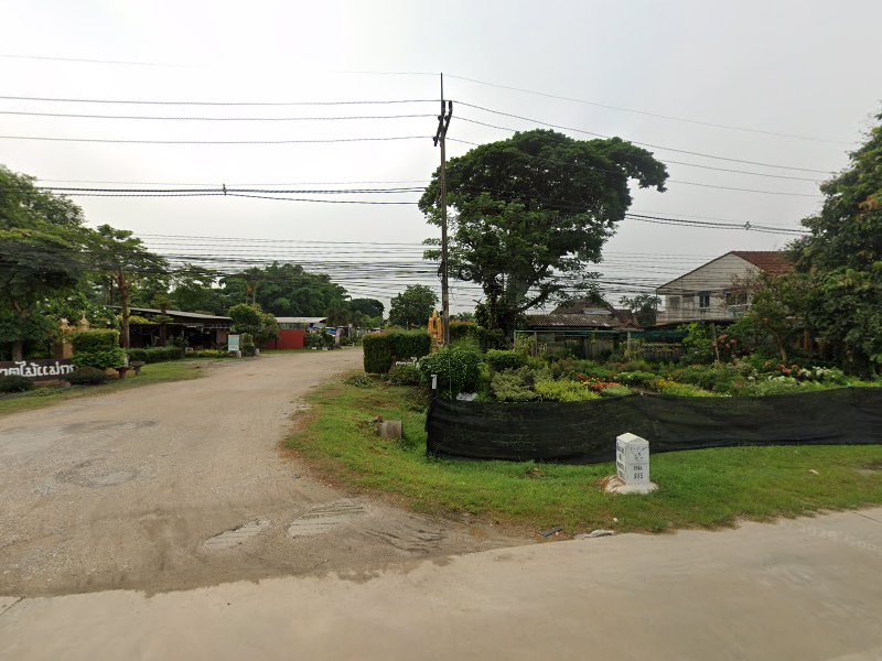 สุรินทร์พันธุ์ไม้ - 4