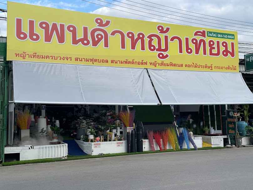 หญ้าเทียมเชียงใหม่ แพนด้าหญ้าเทียม ตลาดต้นไม้คำเที่ยง