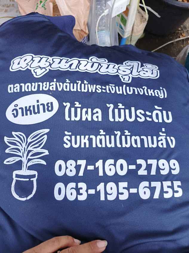 หนูนาพันธุ์ไม้ - 2