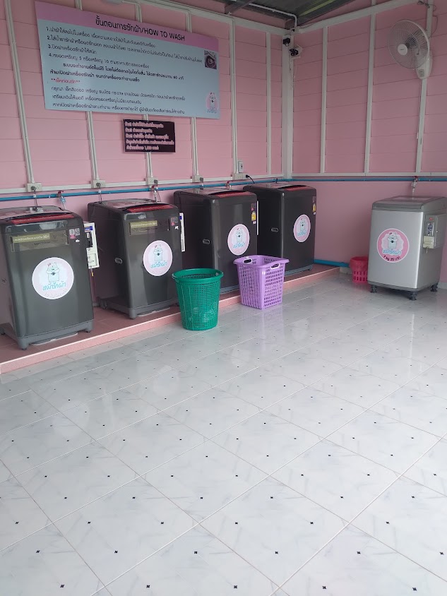 หมีซักผ้า