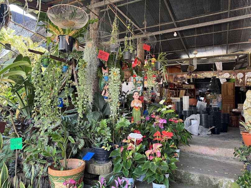 หมื่นวัน - 4