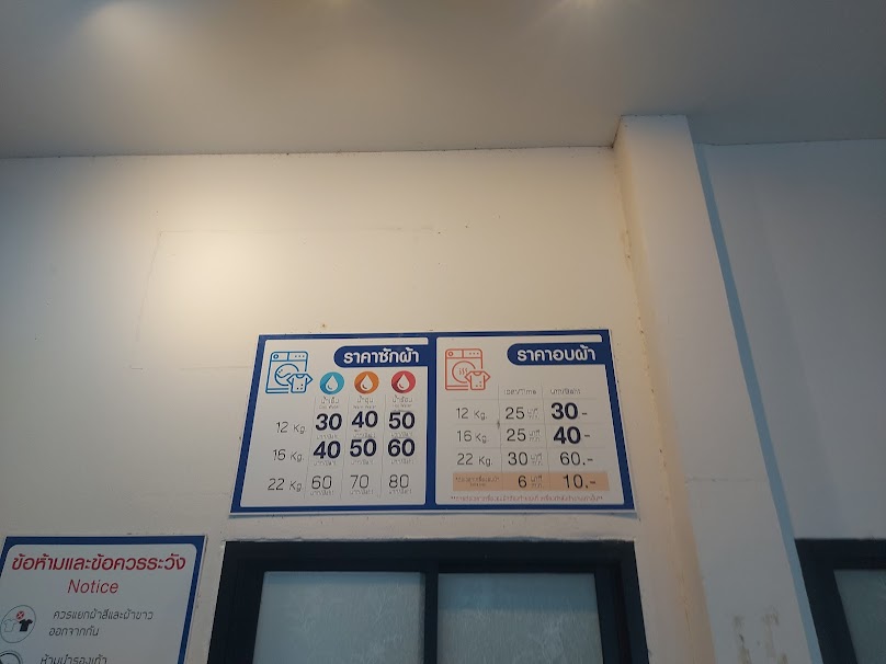 หลิ่งก้านหยอดเหรียญ - 2
