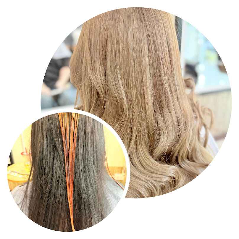 ออกัส คลาสสิค2 - 2