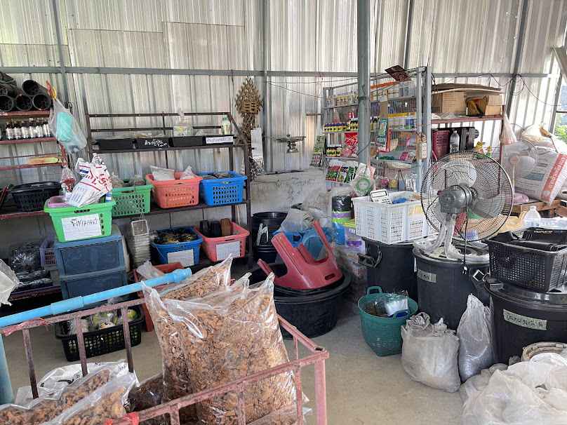 อาม่วย ร้านต้นไม้ - 2