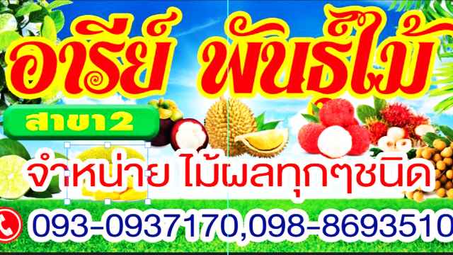 อารีย์พันธุ์ไม้สาขา2แม่ประจันต์ - 3