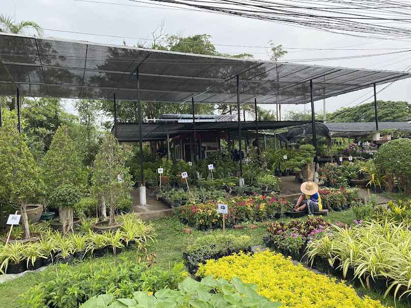 อีสานพันธุ์ไม้