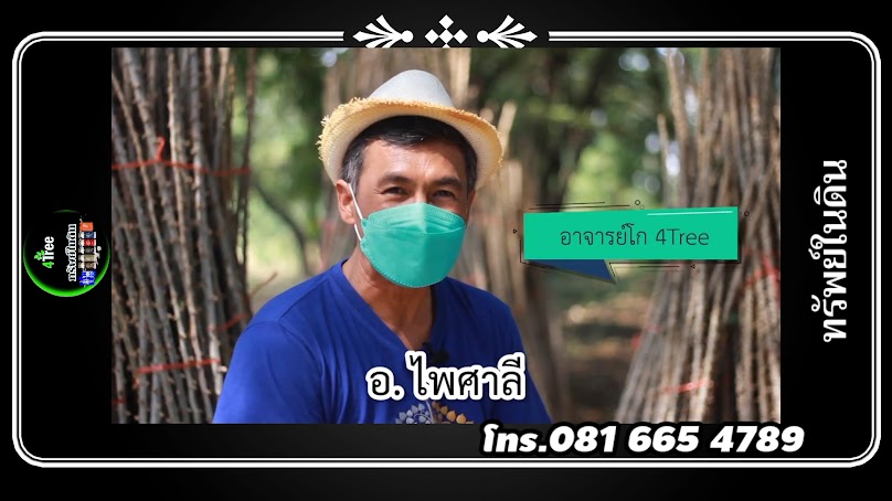 เกษตรอินทรีย์ ทรัพย์ในดิน - 3