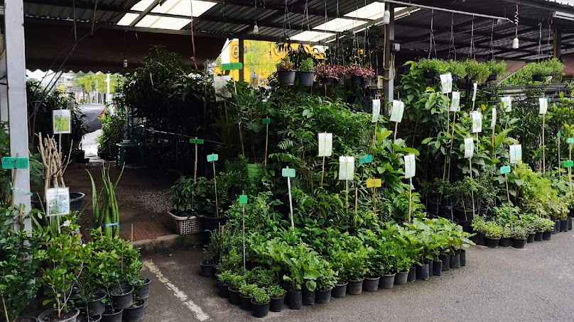 เกษตรอินทรีย์ ทรัพย์ในดิน - 4