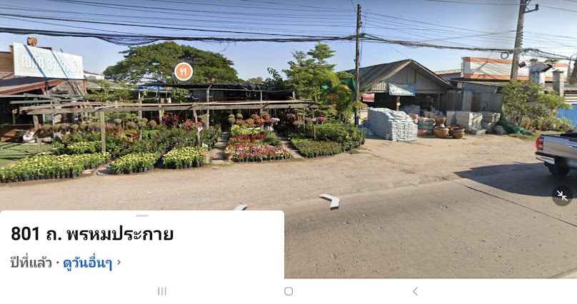 เกษตรเสริมพันธุ์ไม้ - 4
