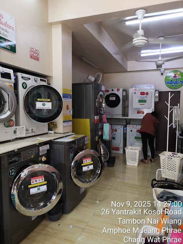 เกสรซักรีด