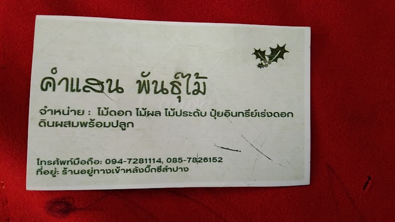เขลางค์ทองพันธุ์ไม้ - 2