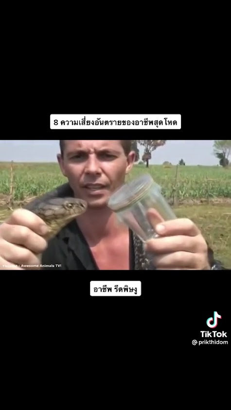 เดอะ พีค คลับ โคราช - 2