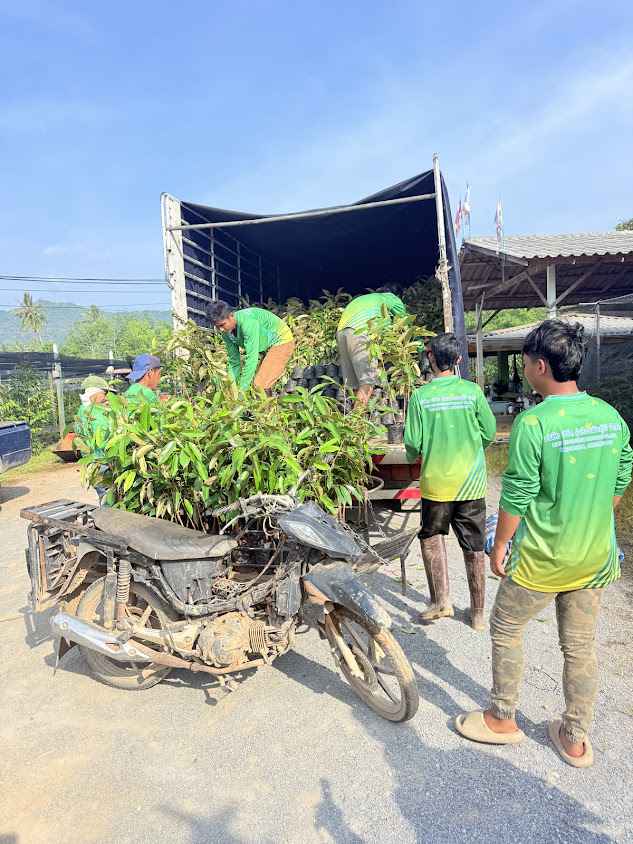 เบิร์ดพันธุ์ไม้ สาขา3 ขายต้นไม้