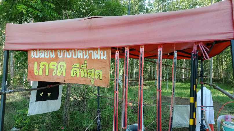 เปลี่ยนยางปัดน้ำฝนรถยนต์ดีดี ติดตั้งซ่อมบำรุง ยึดถือคุณธรรม