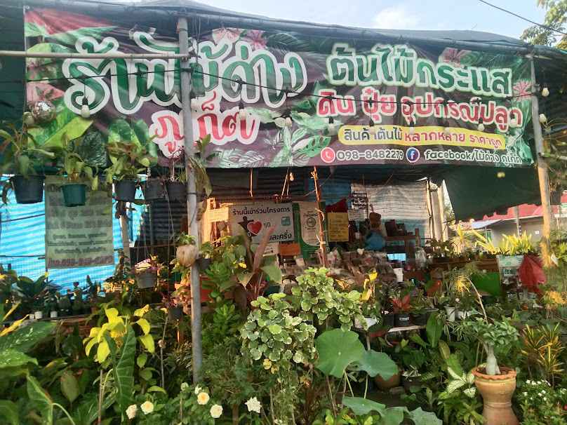 เปิดบ้านขายต้นไม้สาขาท้ายรถ - 2