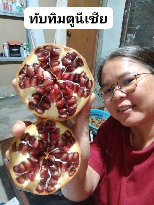 เมล็ด​พันธุ์​ดี ​เกษตร​วิถี​ไทย​ - 2