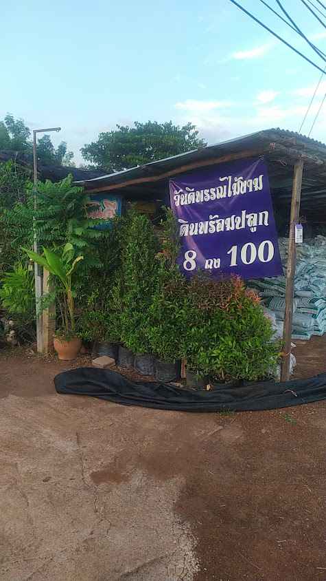 เย็นใจไม้มงคล - 4